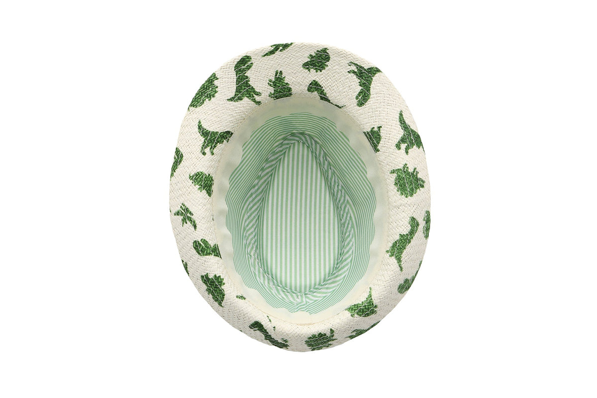Toddler/Kids Fedora - Dinosaur